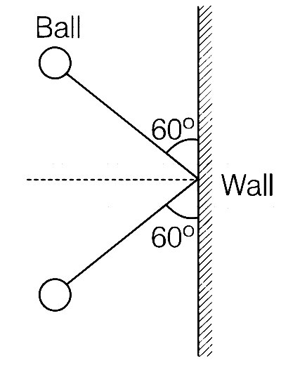 AP EAPCET 2021 - 20th August Evening Shift Physics - Center of Mass and Collision Question 29 English