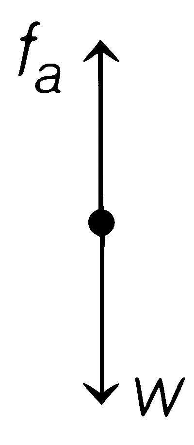 AP EAPCET 2021 - 20th August Morning Shift Physics - Motion in a Plane Question 40 English Option 2