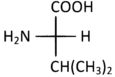 AP EAPCET 2024 - 18th May Morning Shift Chemistry - Biomolecules Question 37 English Option 3
