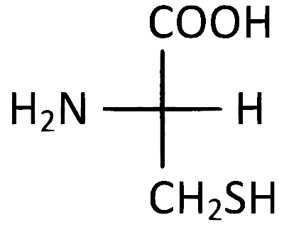 AP EAPCET 2024 - 18th May Morning Shift Chemistry - Biomolecules Question 37 English Option 4