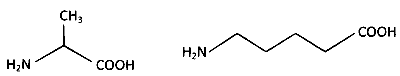AP EAPCET 2024 - 18th May Morning Shift Chemistry - Polymers Question 22 English Option 2