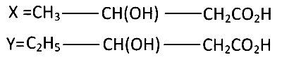 AP EAPCET 2024 - 19th May Evening Shift Chemistry - Polymers Question 23 English Option 2