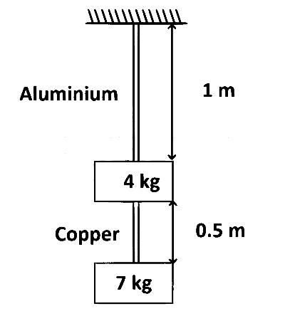 AP EAPCET 2024 - 22th May Morning Shift Physics - Elasticity Question 18 English