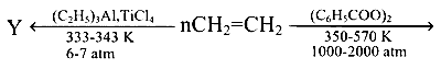 AP EAPCET 2025 - 22nd May Evening Shift Chemistry - Polymers Question 11 English