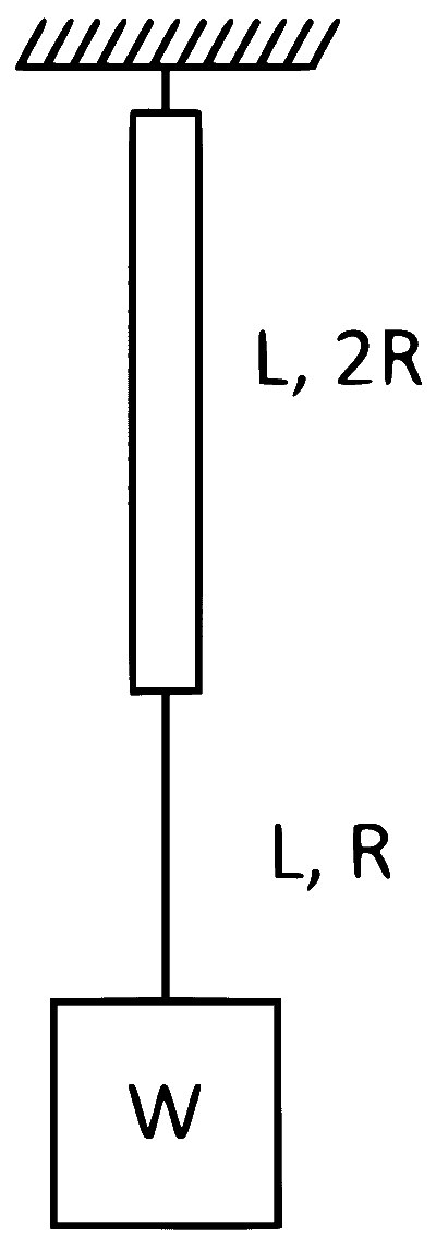 BITSAT 2024 Physics - Elasticity Question 2 English