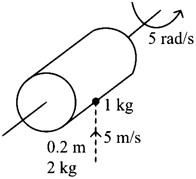 COMEDK 2024 Evening Shift Physics - Rotational Motion Question 8 English
