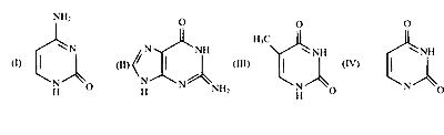 IAT (IISER) 2023 Chemistry - Biomolecules Question 1 English