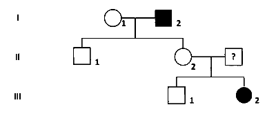 IAT (IISER) 2023 Biology - Principles of Inheritance and Variation Question 9 English