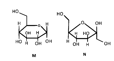 IAT (IISER) 2024 Chemistry - Isomerism Question 5 English