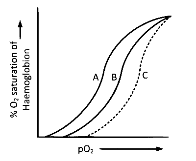 IAT (IISER) 2024 Biology - Breathing and Exchange of Gases Question 2 English