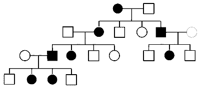 IAT (IISER) 2024 Biology - Principles of Inheritance and Variation Question 11 English