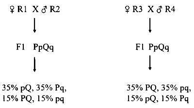 IAT (IISER) 2025 Biology - Principles of Inheritance and Variation Question 3 English