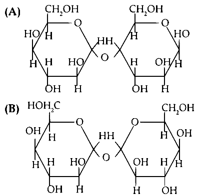 IIT-JEE 2005 Mains Chemistry - Biomolecules Question 6 English