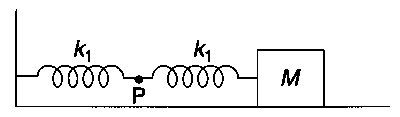 IIT-JEE 2009 Paper 2 Offline Physics - Simple Harmonic Motion Question 10 English