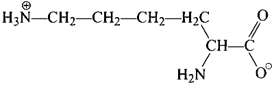 IIT-JEE 2010 Paper 1 Offline Chemistry - Biomolecules Question 10 English