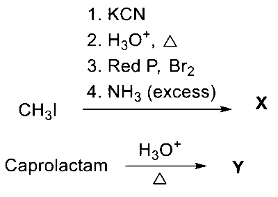 JEE Advanced 2026 Paper 2 Online Chemistry - Polymers Question 1 English