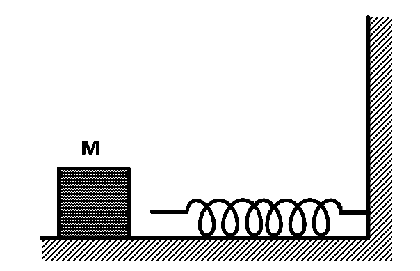 AIEEE 2005 Physics - Center of Mass and Collision Question 121 English