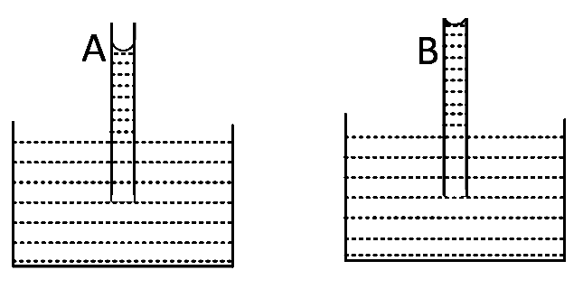 AIEEE 2008 Physics - Properties of Matter Question 296 English Option 2