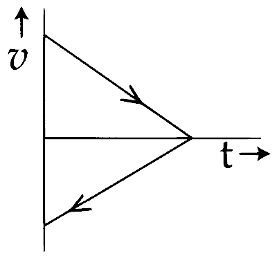 JEE Main 2017 (Offline) Physics - Motion in a Straight Line Question 109 English Option 3