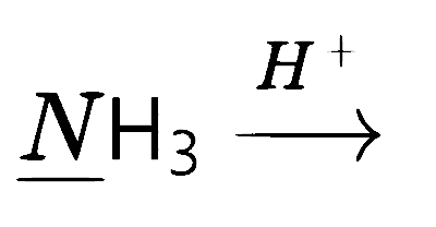 JEE Main 2020 (Online) 4th September Evening Slot Chemistry - Chemical Bonding & Molecular Structure Question 188 English Option 4