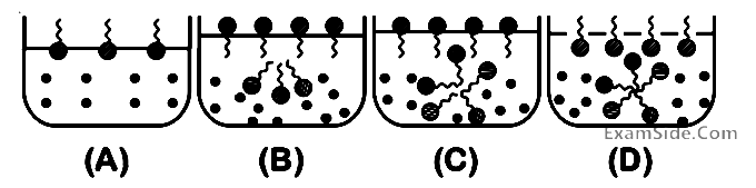 JEE Main 2020 (Online) 5th September Morning Slot Chemistry - Surface Chemistry Question 70 English