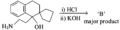 JEE Main 2023 (Online) 13th April Morning Shift Chemistry - Compounds Containing Nitrogen Question 87 English