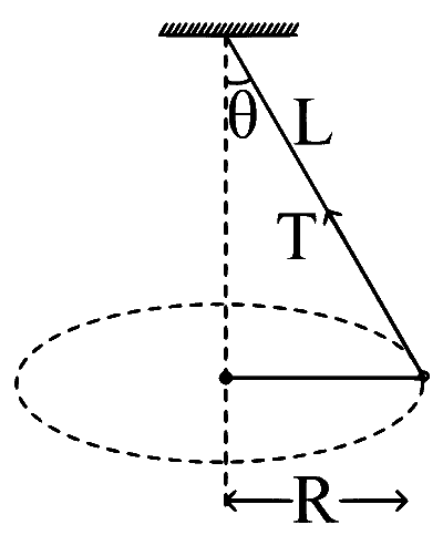 JEE Main 2025 (Online) 24th January Evening Shift Physics - Circular Motion Question 10 English