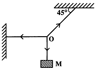 KCET 2026 Physics - Laws of Motion Question 2 English