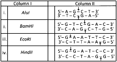 MHT CET (PCB) 2025 9th April Evening Shift Biology - Biotechnology: Principles and Processes Question 1 English