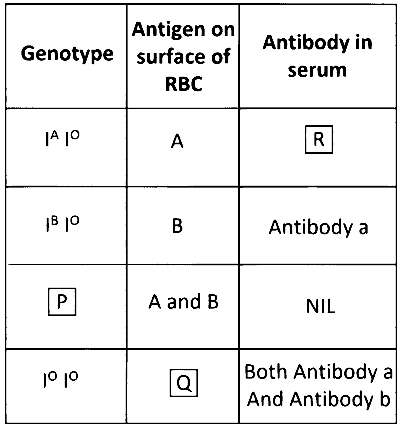MHT CET (PCB) 2025 9th April Morning Shift Biology - Principles of Inheritance and Variation Question 2 English