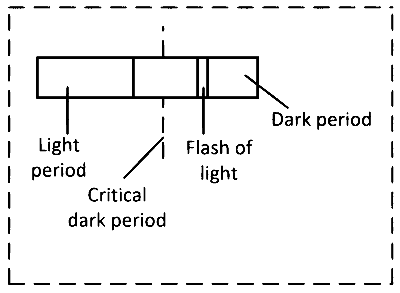 MHT CET (PCB) 2025 9th April Morning Shift Biology - Plant Growth and Development Question 1 English
