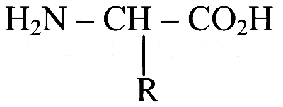 TG EAPCET 2025 (Online) 4th May Morning Shift Chemistry - Biomolecules Question 17 English