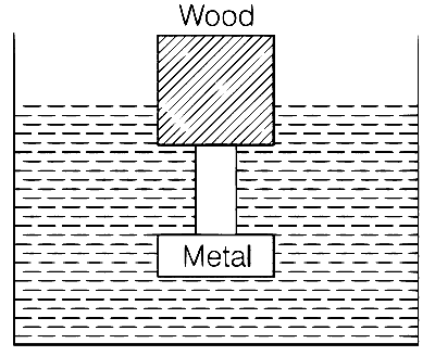TS EAMCET 2020 (Online) 10th September Evening Shift Physics - Fluid Mechanics Question 4 English