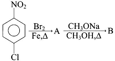 VITEEE 2024 Chemistry - Compounds Containing Nitrogen Question 3 English