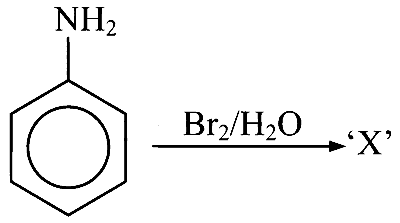 VITEEE 2025 Chemistry - Compounds Containing Nitrogen Question 1 English