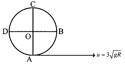 WB JEE 2026 Physics - Circular Motion Question 2 English