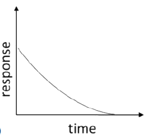 Option B diagram