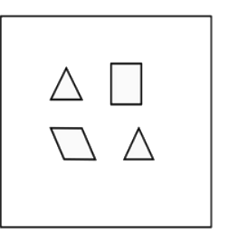 Option C diagram