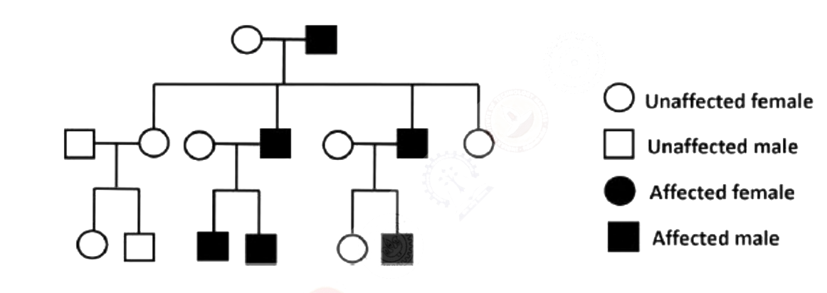 Question diagram