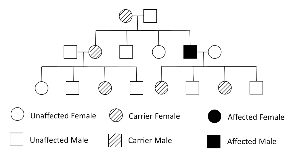 Question diagram