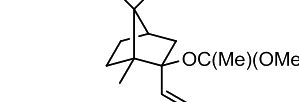 Option C diagram