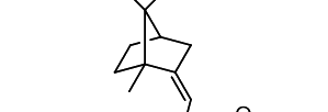 Option D diagram