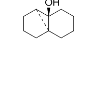 Option B diagram