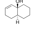 Option C diagram