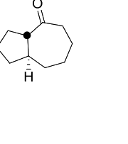 Option D diagram