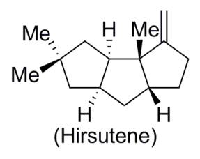 Question source image