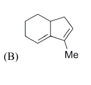 Option B diagram