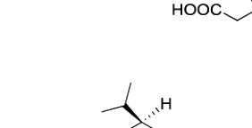 Option C diagram