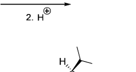 Option D diagram