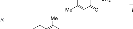 Option C diagram